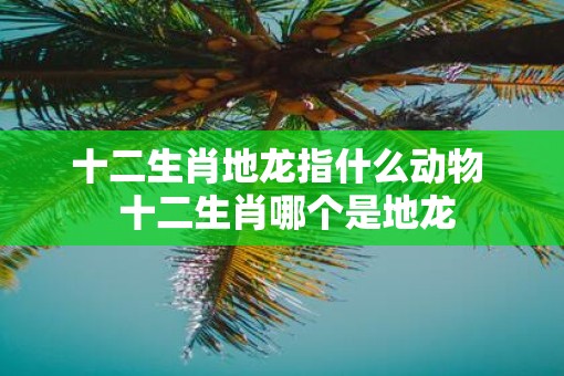 十二生肖地龙指什么动物  十二生肖哪个是地龙