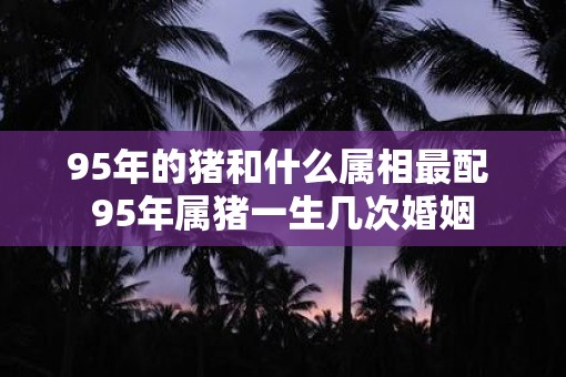 95年的猪和什么属相最配 95年属猪一生几次婚姻