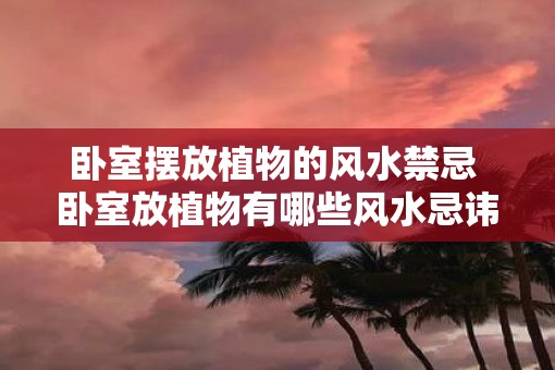 卧室摆放植物的风水禁忌 卧室放植物有哪些风水忌讳
