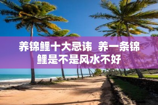 养锦鲤十大忌讳  养一条锦鲤是不是风水不好