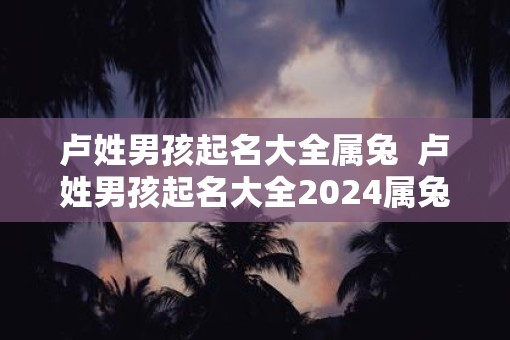 卢姓男孩起名大全属兔  卢姓男孩起名大全2025属兔