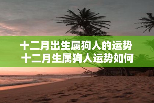 十二月出生属狗人的运势 十二月生属狗人运势如何