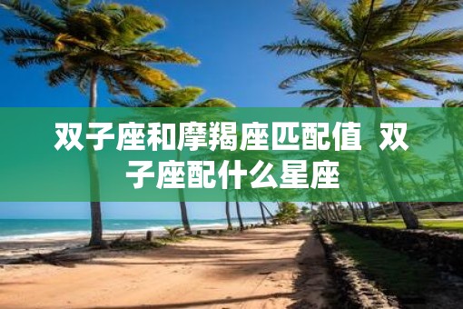 双子座和摩羯座匹配值  双子座配什么星座