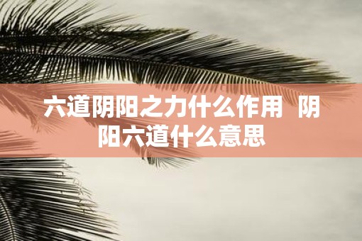 六道阴阳之力什么作用  阴阳六道什么意思