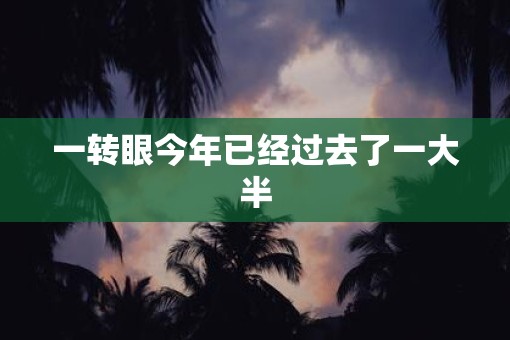 一转眼今年已经过去了一大半