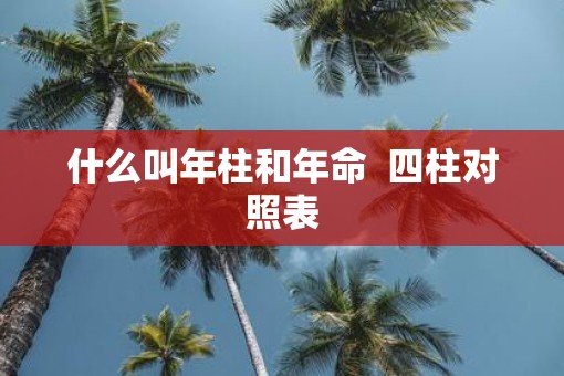 什么叫年柱和年命 四柱对照表 什么叫年柱和年命 四柱对照表