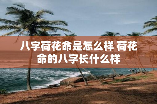 八字荷花命是怎么样 荷花命的八字长什么样