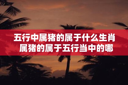 五行中属猪的属于什么生肖  属猪的属于五行当中的哪一类
