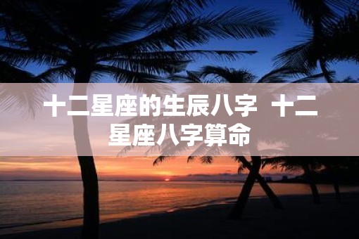 十二星座的生辰八字  十二星座八字算命