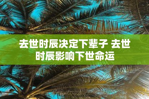 去世时辰决定下辈子 去世时辰影响下世命运