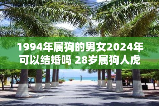 1994年属狗的男女2025年可以结婚吗 28岁属狗人虎年结婚要注意什么