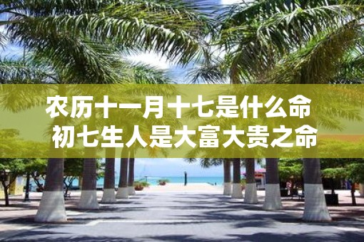 农历十一月十七是什么命  初七生人是大富大贵之命