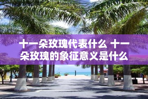 十一朵玫瑰代表什么 十一朵玫瑰的象征意义是什么