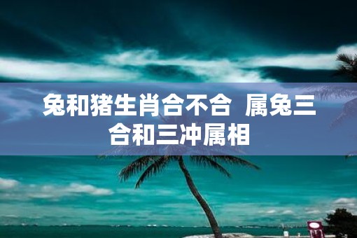 兔和猪生肖合不合  属兔三合和三冲属相