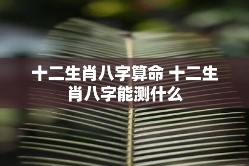 十二生肖八字算命 十二生肖八字能测什么