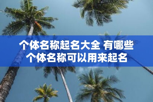 个体名称起名大全 有哪些个体名称可以用来起名