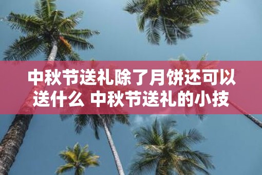 中秋节送礼除了月饼还可以送什么 中秋节送礼的小技巧
