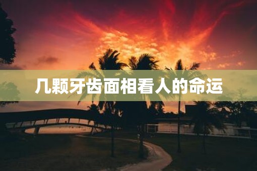 几颗牙齿面相看人的命运