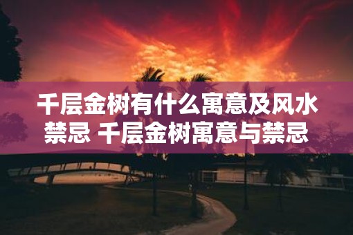 千层金树有什么寓意及风水禁忌 千层金树寓意与禁忌是什么