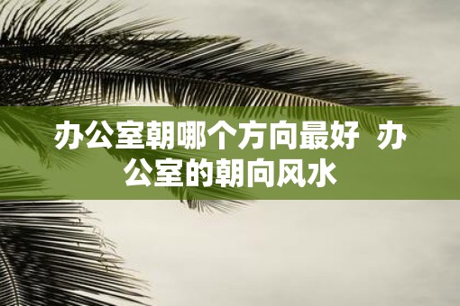 办公室朝哪个方向最好  办公室的朝向风水