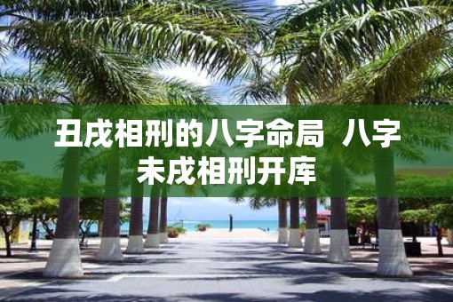 丑戌相刑的八字命局  八字未戌相刑开库
