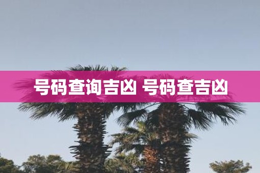 号码查询吉凶 号码查吉凶
