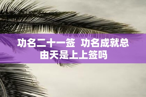 功名二十一签  功名成就总由天是上上签吗