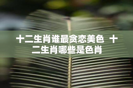 十二生肖谁最贪恋美色  十二生肖哪些是色肖