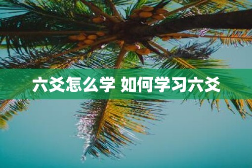 六爻怎么学 如何学习六爻