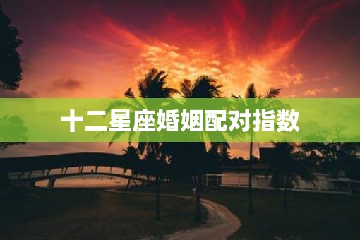 十二星座婚姻配对指数