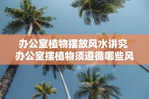 办公室植物摆放风水讲究 办公室摆植物须遵循哪些风水讲究