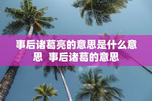 事后诸葛亮的意思是什么意思  事后诸葛的意思