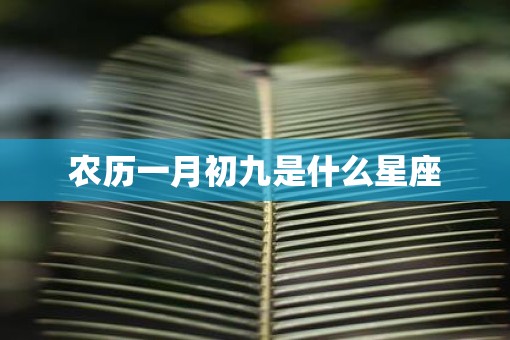 农历一月初九是什么星座