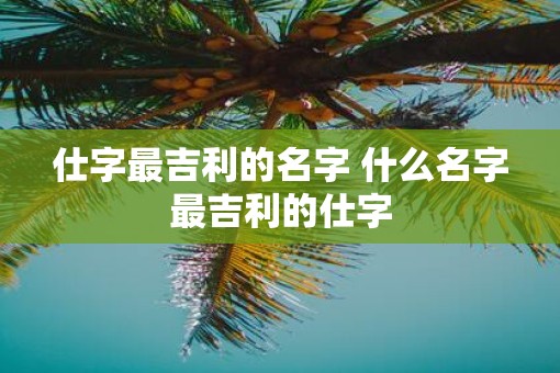 仕字最吉利的名字 什么名字最吉利的仕字
