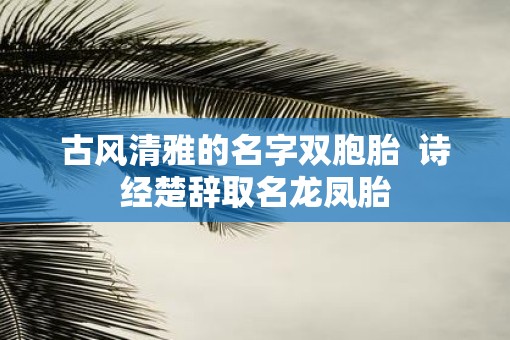 古风清雅的名字双胞胎  诗经楚辞取名龙凤胎