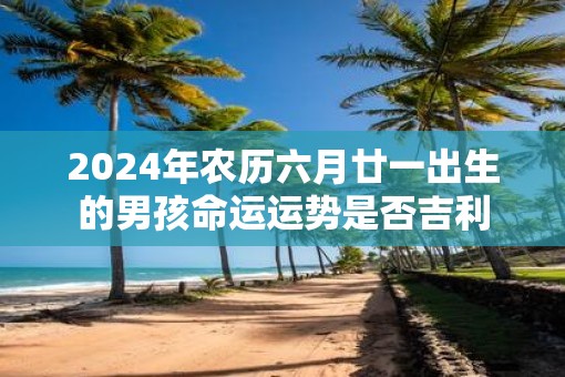 2025年农历六月廿一出生的男孩命运运势是否吉利