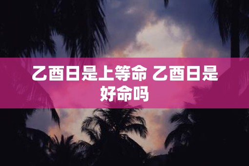 乙酉日是上等命 乙酉日是好命吗