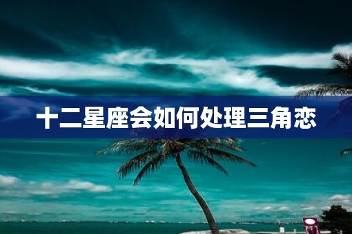 十二星座会如何处理三角恋