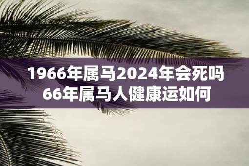 1966年属马2025年会死吗 66年属马人健康运如何