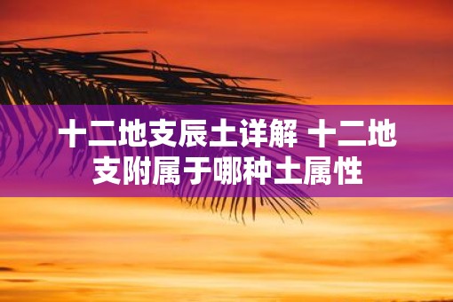 十二地支辰土详解 十二地支附属于哪种土属性