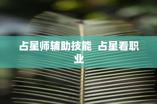 占星师辅助技能  占星看职业