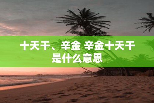 十天干、辛金 辛金十天干是什么意思