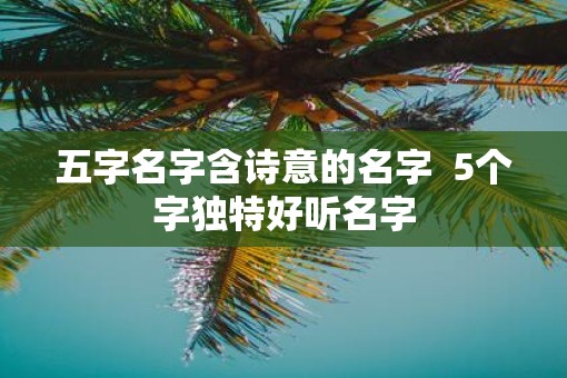 五字名字含诗意的名字  5个字独特好听名字