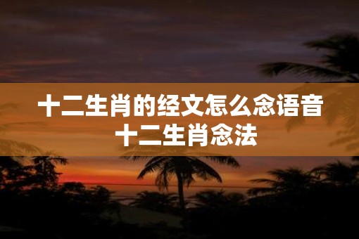 十二生肖的经文怎么念语音  十二生肖念法