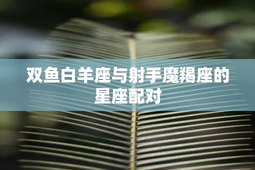 双鱼白羊座与射手魔羯座的星座配对