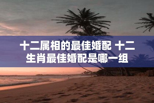 十二属相的最佳婚配 十二生肖最佳婚配是哪一组 十二属相的最佳婚配 十二生肖最佳婚配是哪一组