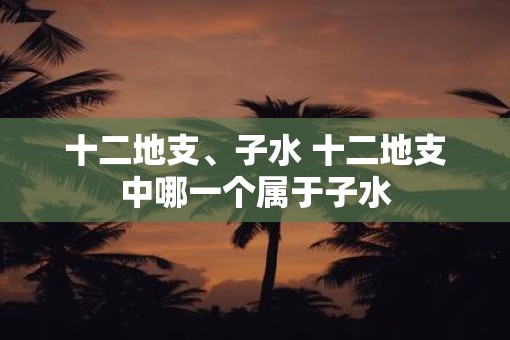 十二地支、子水 十二地支中哪一个属于子水