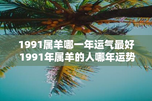 1991属羊哪一年运气最好 1991年属羊的人哪年运势最佳