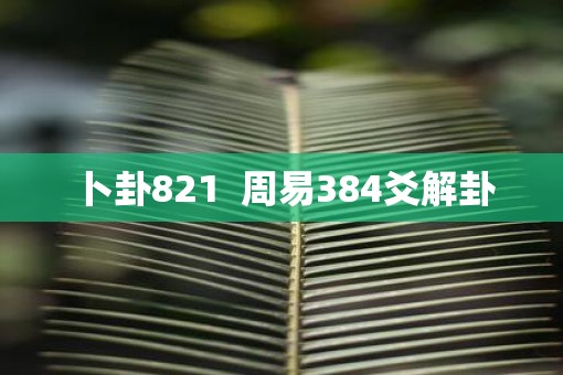 卜卦821  周易384爻解卦