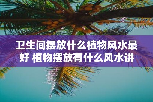 卫生间摆放什么植物风水最好 植物摆放有什么风水讲究